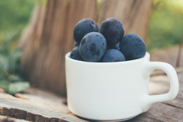 Plums in a cup on the stump