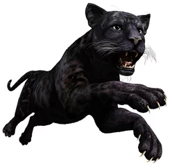 Foto op Plexiglas Black panther pouncing 3D illustration © warpaintcobra