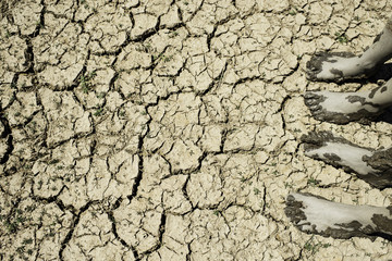 Dry Earth Global Warming