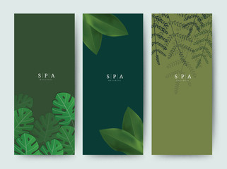 Branding Packaging palm coconut bamboo tree leaf nature background, logo banner voucher, spring summer tropical, vector illustration