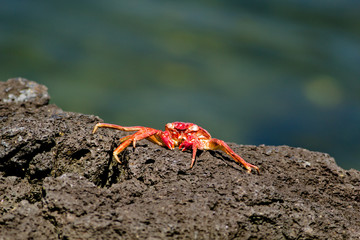 Hawaii