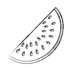 Sliced watermelon fruit