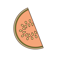 Sliced watermelon fruit