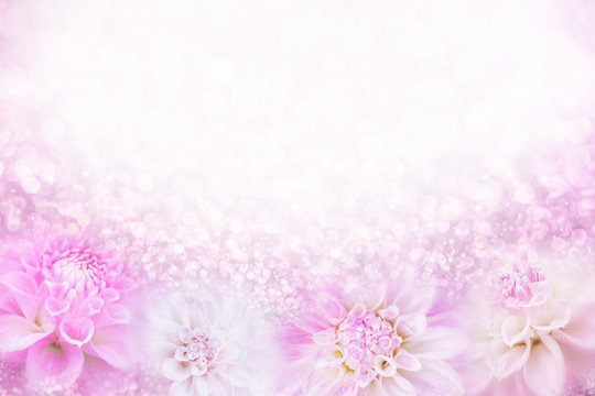 beautiful pink and white dahlia flower background in soft vintage tone with glitter light and bokeh, copy space for text 