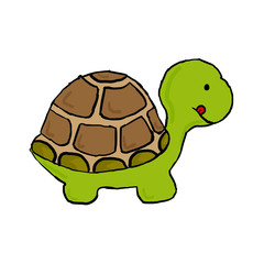 Turttle draw illustration
