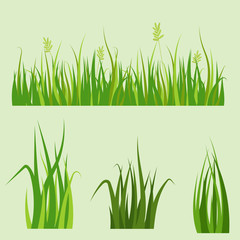 Green grass border plant lawn nature meadow ecology summer gardening vector illustration