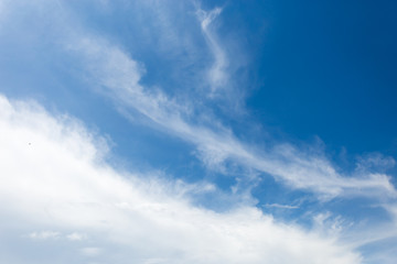 Fototapeta premium Clear blue sky with plain white cloud