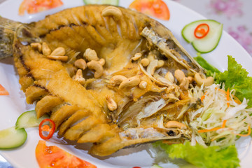 Deep Fried Sea Bass with Sauce on white dish,Thai food.