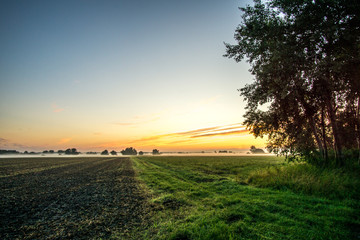 Fototapeta na wymiar Plowed field and a meadow at sunrise and fog