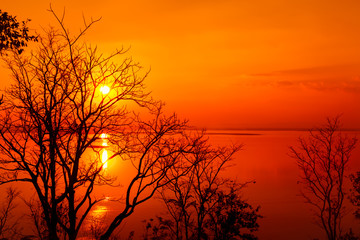 landscape of orange sky with sun beams and silhouette of trees at sunset.