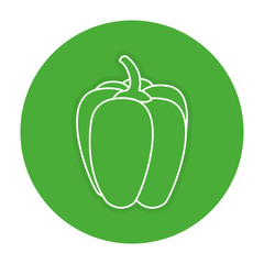 pepper fresh isolated icon