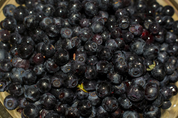Background of blueberries