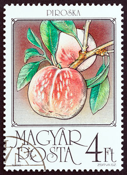 Peaches, Piroska (Hungary 1986)