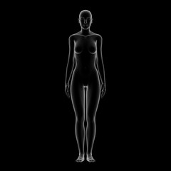 Female Body Shape