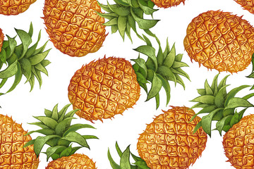 Botanical seamless pattern with pineapple.