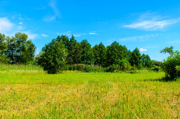 Obraz premium Wide green meadow