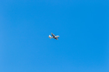 Airplane and blue sky