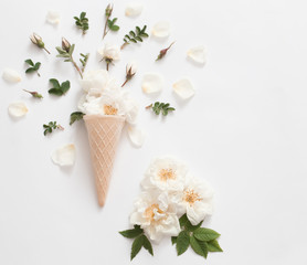 roses on white background