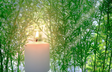 Little white candle lies with green leaves with soft light effect. Religion concept and relax or meditation caption