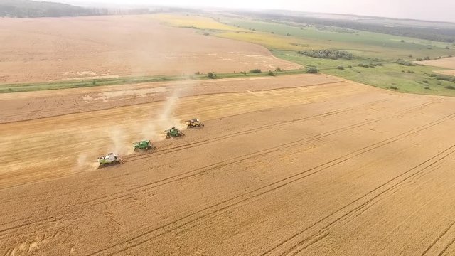 Aerial view on the four combines working on the large wheat field