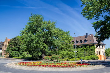 Wittenberg, Luthereiche