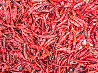 Red hot chilly peper background