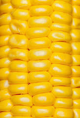 corn background