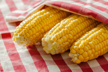 corn background