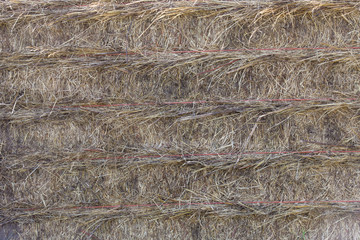 Close up detailed view of stack of hay