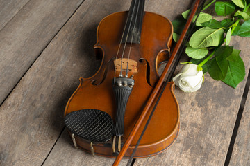 Beautiful violin