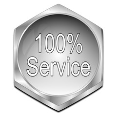 100% Service button - 3D illustration