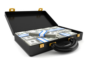 Briefcase with money
