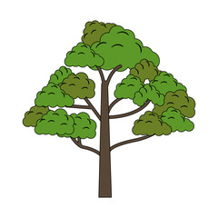 single realistic tree icon image