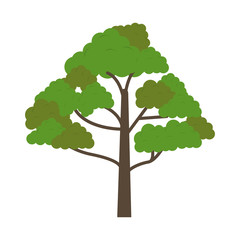 single realistic tree icon image