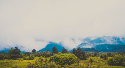 Photo depicting beautiful a foggy mystic mountains. Fog clouds at the pine tree mystical woods, morning. Europe, mysterious alps landscape.