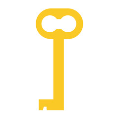 Golden key vector