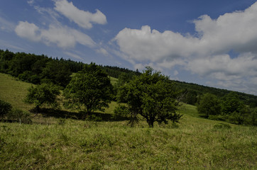 panorama Beskid Niski  © wedrownik52