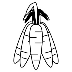 carrot vegetable icon image