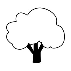 broccoli vegetable icon image