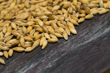 Paddy rice bale on wood background