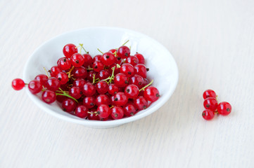 In a white cup red currant berries
