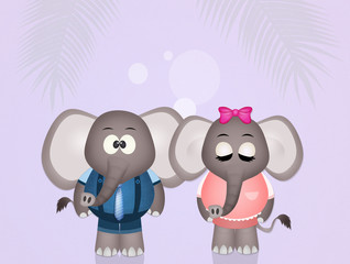 funny elephants couple