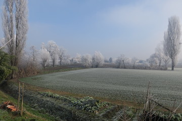 Frosty landscape from Italian Winter