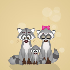 family of raccoons