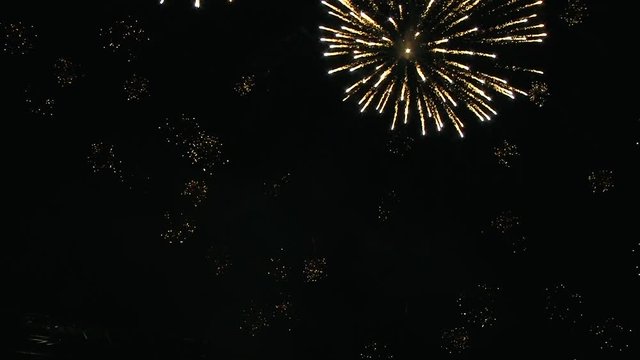 Night celebration, view of the fireworks, colorful lights of fireworks in the sky.
