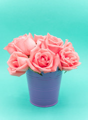 Pink beautiful rose flower bouquet in flowerpot on green background, Pastel colors. Valentine day, love and wedding concept.