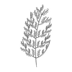 branch with leaves icon