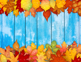 Colorful autumn leaves on wooden background
