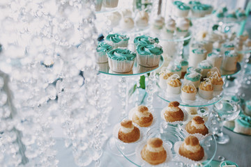 Delicious cupcakes and other bakarty covered with mint icing