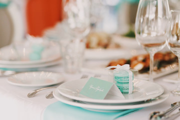 Mint macarons  served on empty dinner plate